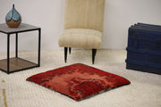 Designer Rug Floor Pillow